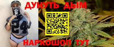 mdpv Заводоуковск