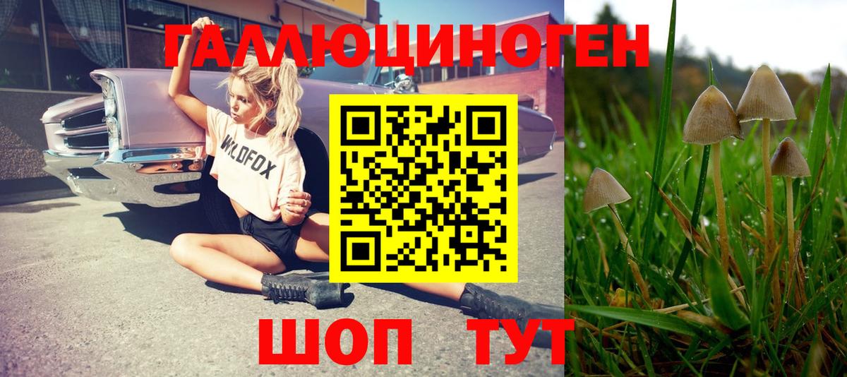Кулебаки  Галлюциногенные грибы GOLDEN TEACHER  Вход с VPN 